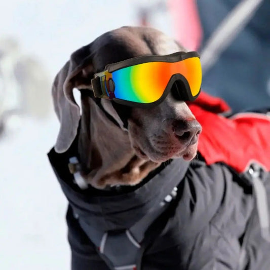 Dog Goggles for Eye Protection - UV Protection Sunglasses for Dogs - Adjustable Fit for Outdoor Activities & Water Sports