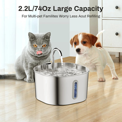 Stainless Steel Cat Water Fountain | BPA-Free Cat Water Fountain with Advanced Multi-Layer Filtration, Ideal Water Drinking Fountain for Cats & Catit Water Fountain for Cats and Dogs