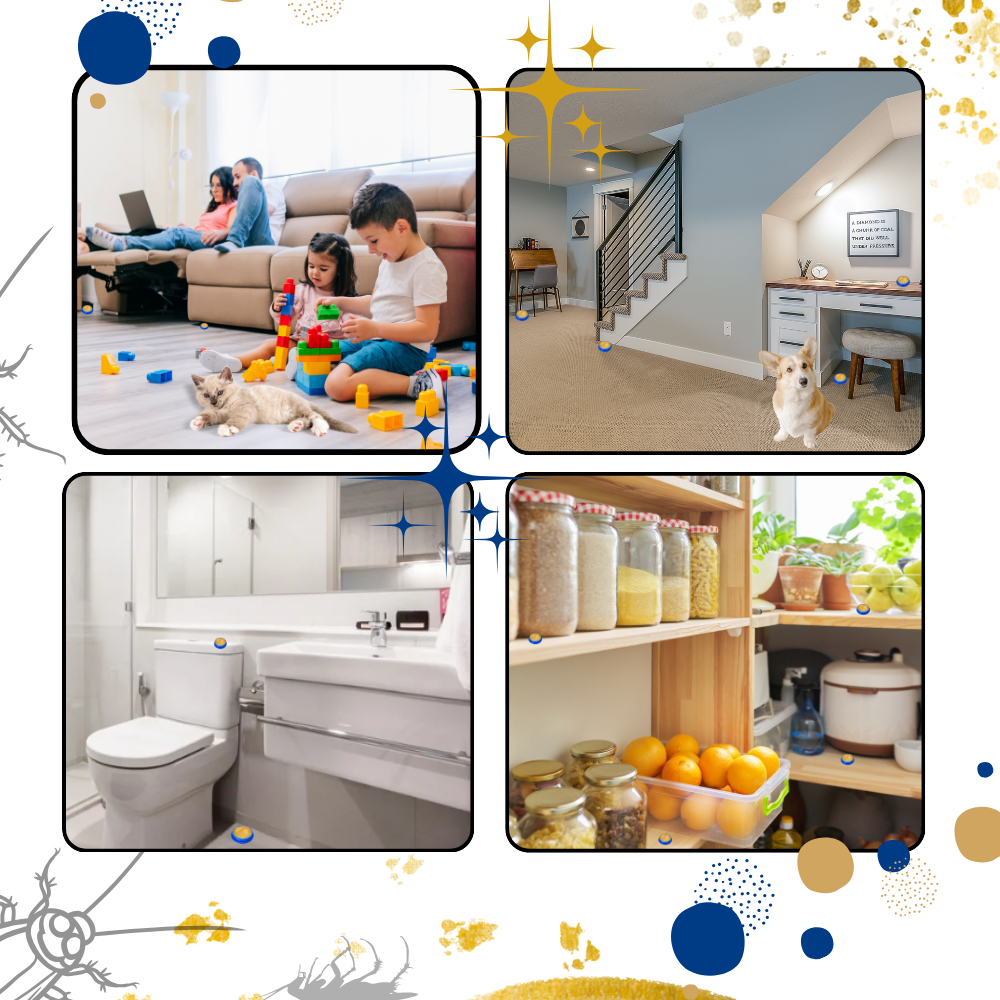 Odorless Cockroach Traps | Slow-Acting, Hands-Free Gel Bait for Hygienic Pest Control in Kitchens & Living Spaces