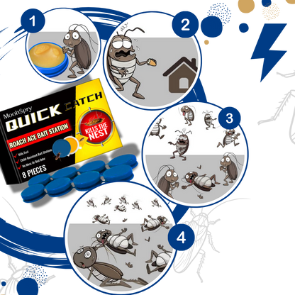 Odorless Cockroach Traps | Slow-Acting, Hands-Free Gel Bait for Hygienic Pest Control in Kitchens & Living Spaces