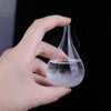 Image of Weather Predicting Storm Glass