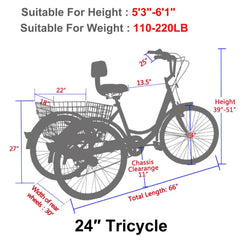 24 Inch Adult Tricycle Trike 3 Wheel Bike 6 Speed Shift + Shopping Basket