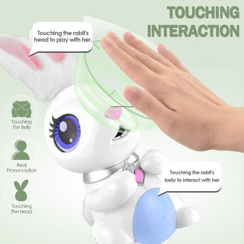 Interactive Robot - Robot Bunny