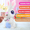 Image of Interactive Robot - Robot Bunny