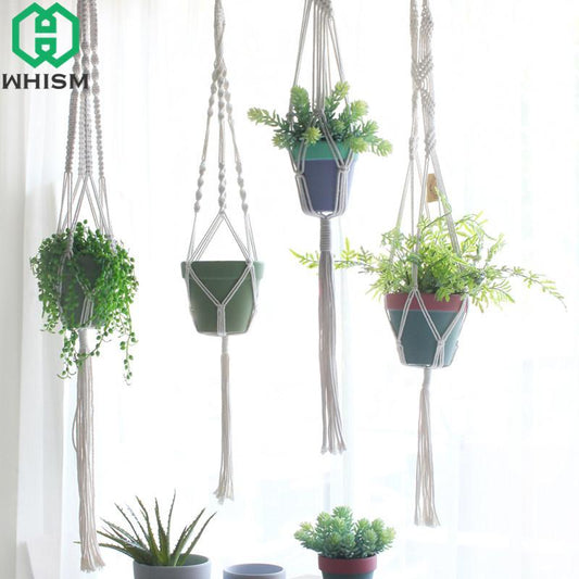 Hanging Basket Plants - Hanging Basket Flowers - Hanging Pots