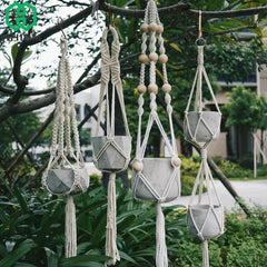 Hanging Basket Plants - Hanging Basket Flowers - Hanging Pots