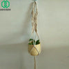 Image of Hanging Basket Plants - Hanging Basket Flowers - Hanging Pots