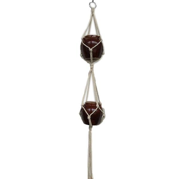 Hanging Basket Plants - Hanging Basket Flowers - Hanging Pots