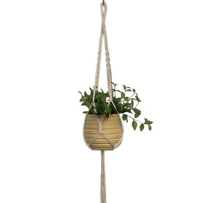 Hanging Basket Plants - Hanging Basket Flowers - Hanging Pots