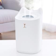 Humidifier