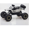 Image of 28cm RC Electric Car High Speed Racing Off-Road Double Motors Remote Control Car For Adults