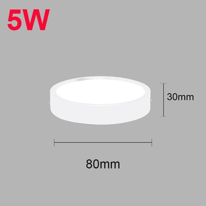 Dimmable Modern Minimalist LED Round Shaped Acrylic Flush Mount Ceiling Light
