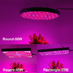 Led Grow Lights - Plant Grow Light