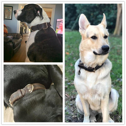 Quality Barbour Dog Collar Rustproof Double D-Ring