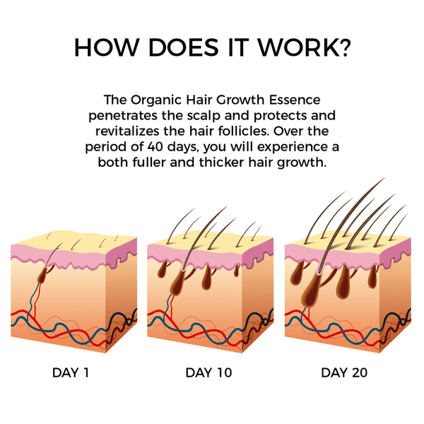 Pure Organic Ginger Hair Growth Essence