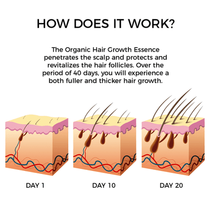 Pure Organic Ginger Hair Growth Essence