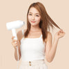 Image of Professional Quick Hair Dryer Easy to Carry
