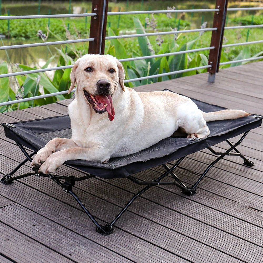 Large Elevated Dog Bed Foldable Easy to Wash Dog Cot Portable Breathable Raised Dog Bed