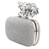 Image of Clasp Silver Unique Purse